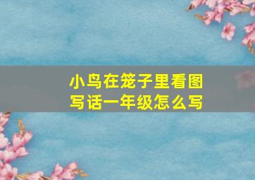 小鸟在笼子里看图写话一年级怎么写