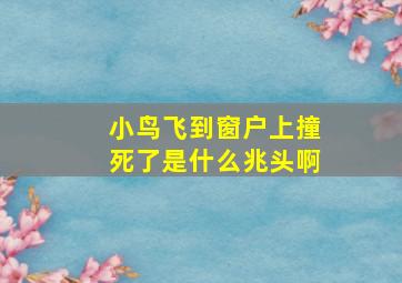 小鸟飞到窗户上撞死了是什么兆头啊