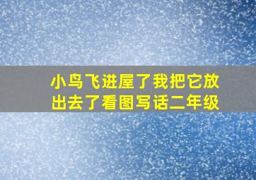 小鸟飞进屋了我把它放出去了看图写话二年级