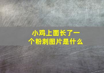 小鸡上面长了一个粉刺图片是什么