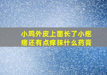 小鸡外皮上面长了小疙瘩还有点痒抹什么药膏