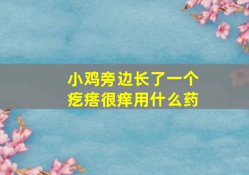 小鸡旁边长了一个疙瘩很痒用什么药