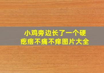 小鸡旁边长了一个硬疙瘩不痛不痒图片大全