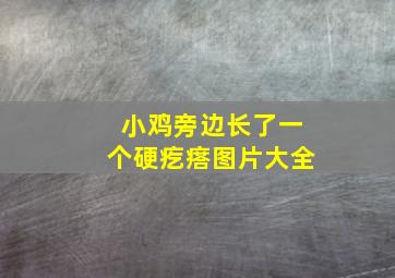 小鸡旁边长了一个硬疙瘩图片大全