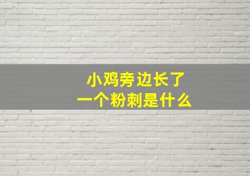 小鸡旁边长了一个粉刺是什么