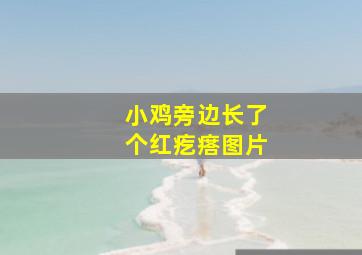 小鸡旁边长了个红疙瘩图片