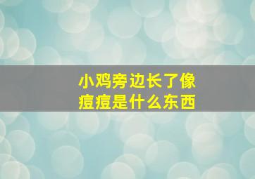 小鸡旁边长了像痘痘是什么东西