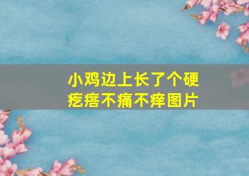 小鸡边上长了个硬疙瘩不痛不痒图片