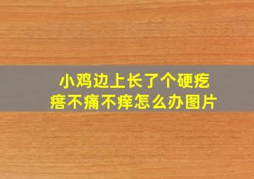 小鸡边上长了个硬疙瘩不痛不痒怎么办图片