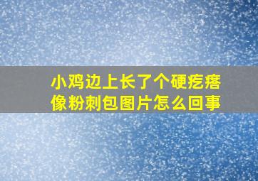 小鸡边上长了个硬疙瘩像粉刺包图片怎么回事