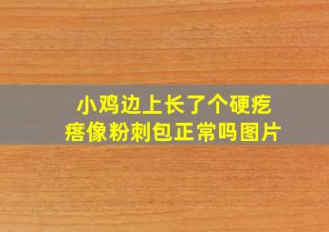 小鸡边上长了个硬疙瘩像粉刺包正常吗图片