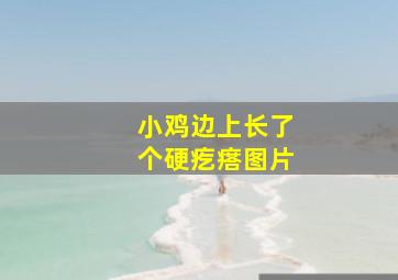 小鸡边上长了个硬疙瘩图片