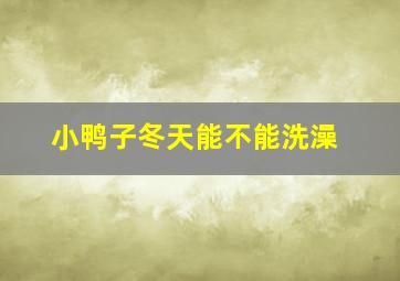 小鸭子冬天能不能洗澡