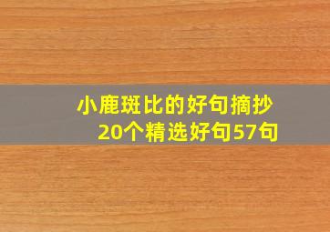 小鹿斑比的好句摘抄20个精选好句57句