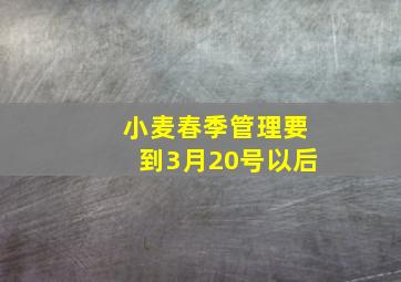 小麦春季管理要到3月20号以后