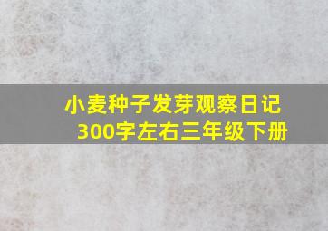 小麦种子发芽观察日记300字左右三年级下册