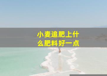 小麦追肥上什么肥料好一点