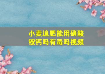 小麦追肥能用硝酸铵钙吗有毒吗视频