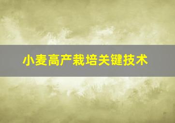 小麦高产栽培关键技术