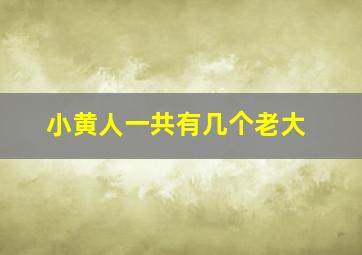 小黄人一共有几个老大