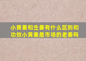 小黄姜和生姜有什么区别和功效小黄姜是市场的老姜吗