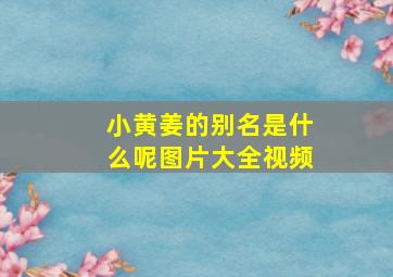 小黄姜的别名是什么呢图片大全视频