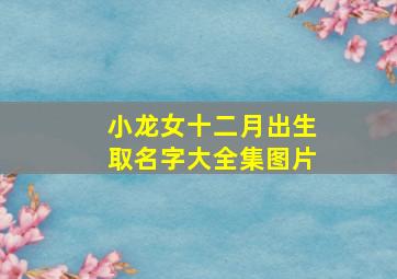 小龙女十二月出生取名字大全集图片