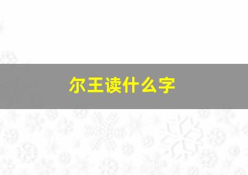 尔王读什么字