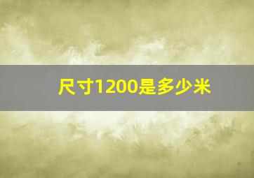 尺寸1200是多少米