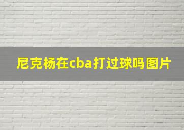 尼克杨在cba打过球吗图片