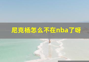 尼克杨怎么不在nba了呀