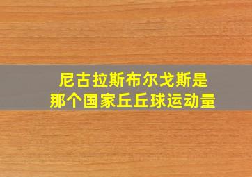 尼古拉斯布尔戈斯是那个国家丘丘球运动量