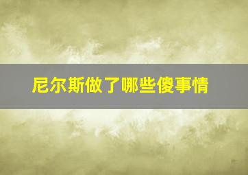 尼尔斯做了哪些傻事情