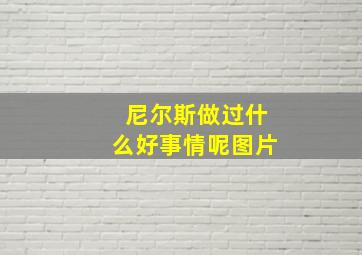 尼尔斯做过什么好事情呢图片