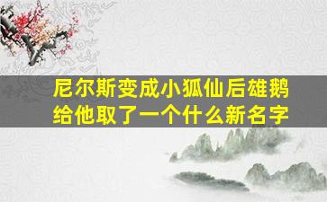 尼尔斯变成小狐仙后雄鹅给他取了一个什么新名字