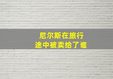 尼尔斯在旅行途中被卖给了谁