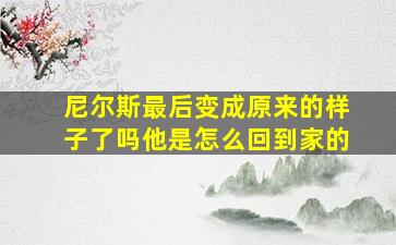 尼尔斯最后变成原来的样子了吗他是怎么回到家的