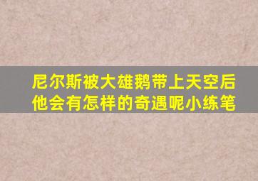 尼尔斯被大雄鹅带上天空后他会有怎样的奇遇呢小练笔