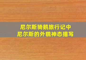 尼尔斯骑鹅旅行记中尼尔斯的外貌神态描写