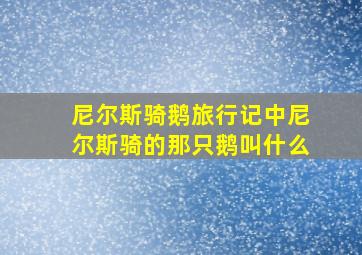 尼尔斯骑鹅旅行记中尼尔斯骑的那只鹅叫什么