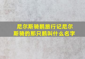 尼尔斯骑鹅旅行记尼尔斯骑的那只鹅叫什么名字