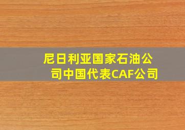 尼日利亚国家石油公司中国代表CAF公司