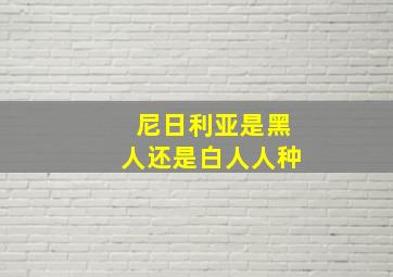 尼日利亚是黑人还是白人人种