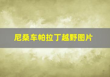 尼桑车帕拉丁越野图片