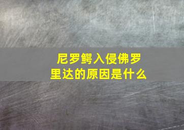 尼罗鳄入侵佛罗里达的原因是什么