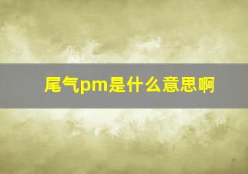 尾气pm是什么意思啊