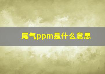 尾气ppm是什么意思