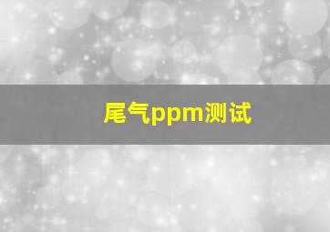 尾气ppm测试