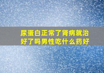 尿蛋白正常了肾病就治好了吗男性吃什么药好