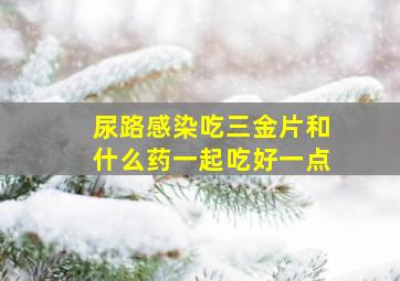 尿路感染吃三金片和什么药一起吃好一点